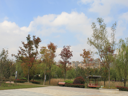 園冶杯專業獎:2015年小游園建設工程A標段