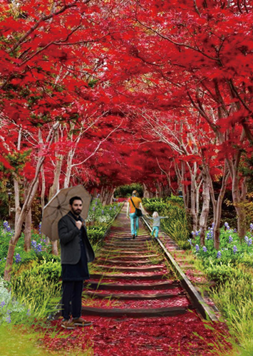 園冶杯專業獎：青山區倒口湖公園景觀設計