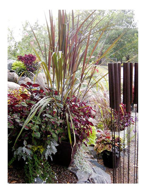 美國明尼蘇達(dá)耐陰花園設(shè)計(jì)