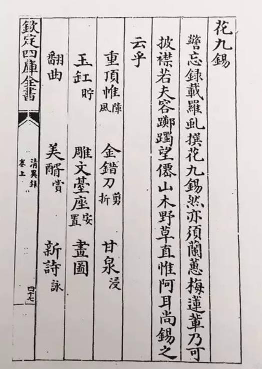 千年之韻——中國傳統(tǒng)插花藝術(shù)