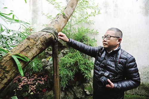 他是園林“監測儀” 時刻守護蘇州古典園林