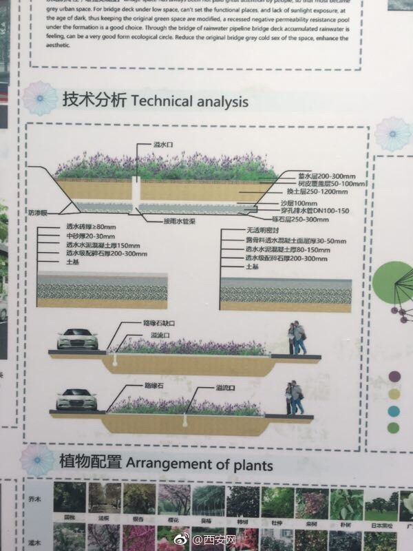 高校雙創(chuàng)人才匯聚為海綿城市設(shè)計(jì)點(diǎn)贊