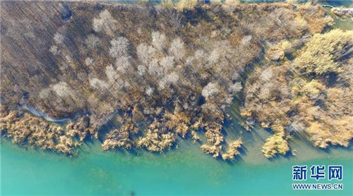 河南省鶴壁市淇河國家濕地公園景色秀美