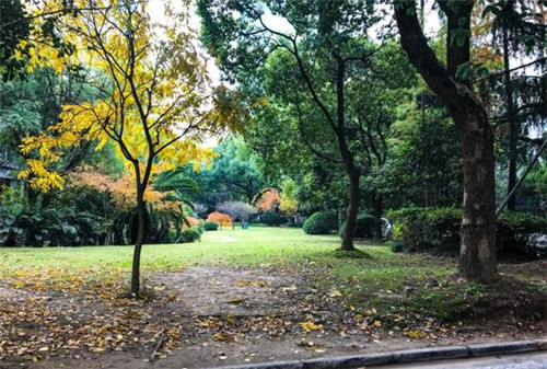 上海百年陜西北路老街華麗轉身文化公共空間
