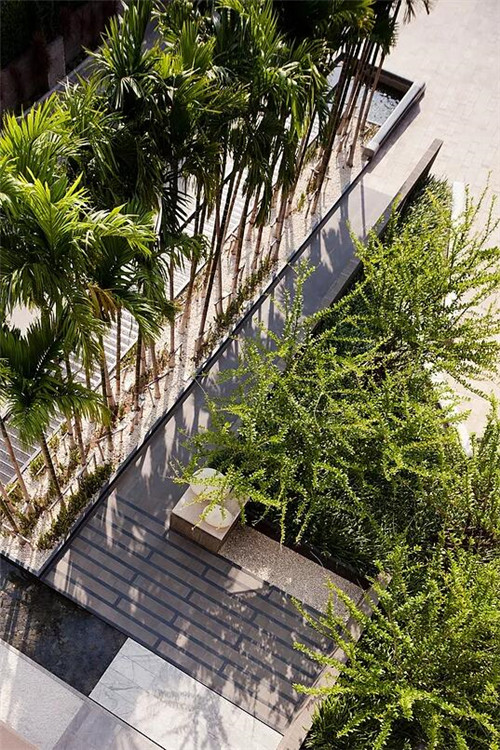 TROP作品：芭堤雅希爾頓酒店景觀設計