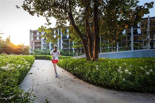 TROP作品：雨林邊緣的度假村住宅景觀設計
