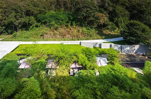 TROP作品：雨林邊緣的度假村住宅景觀設計