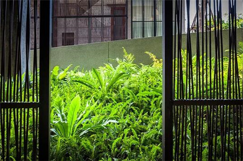 TROP作品：雨林邊緣的度假村住宅景觀設計