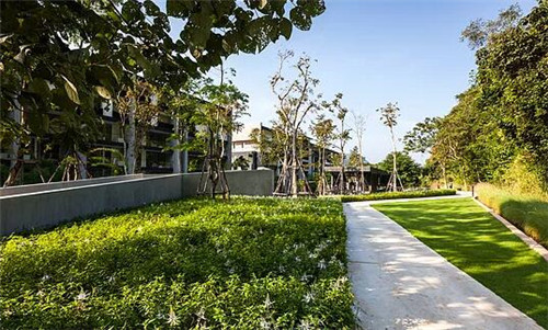 TROP作品：雨林邊緣的度假村住宅景觀設計