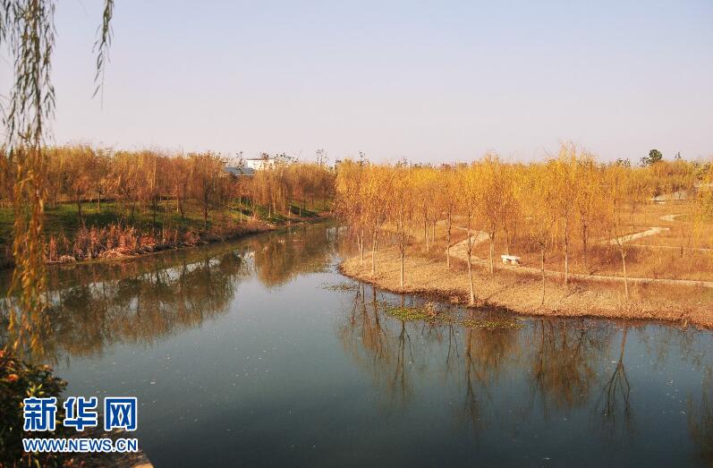 航拍谷城漢江國(guó)家濕地公園