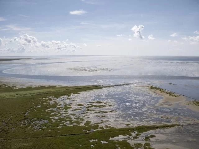 丹麥瓦登海游客中心景觀設計