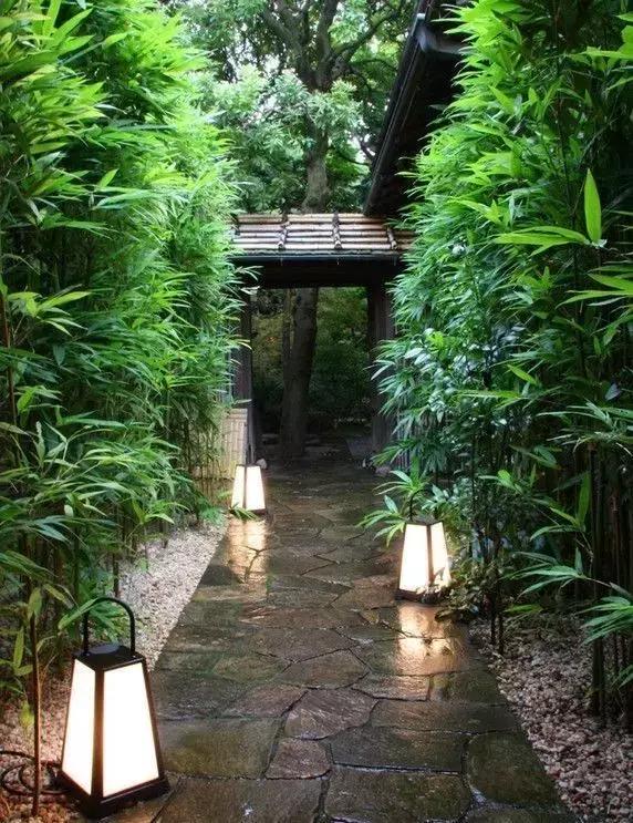 佛系庭院，就是極致空靈！