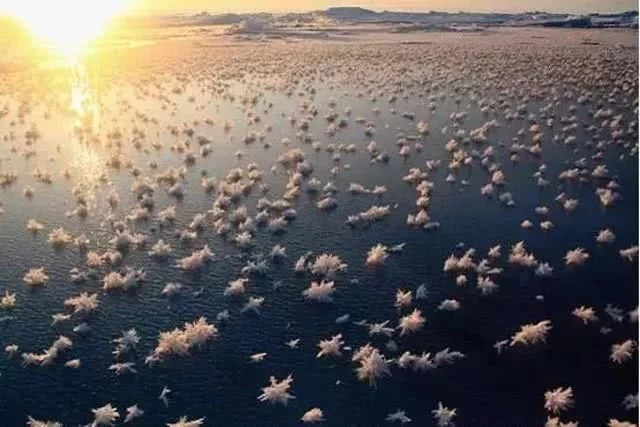 加拿大各地寒冷意外出現(xiàn)太陽光柱的自然景觀