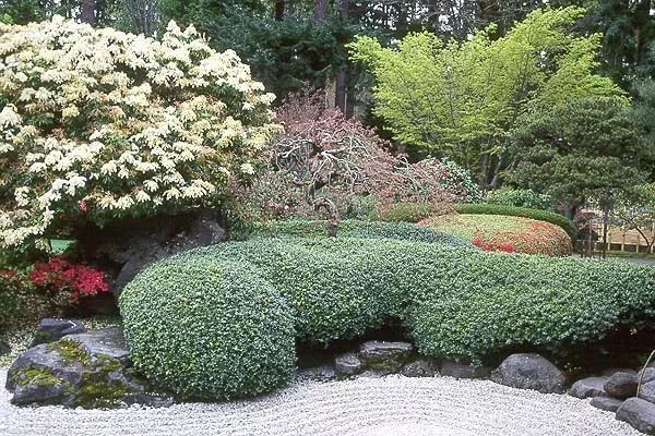 混合花境設計與種植建議