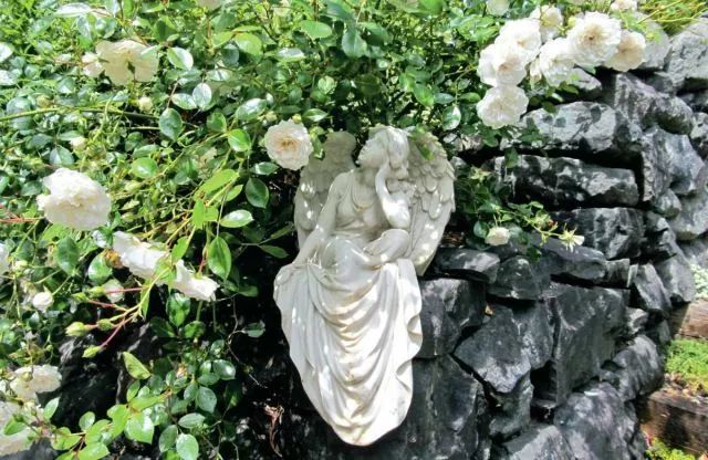 混合花境設計與種植建議