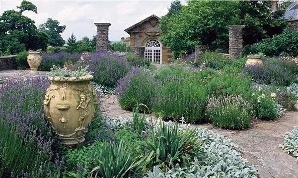 混合花境設計與種植建議