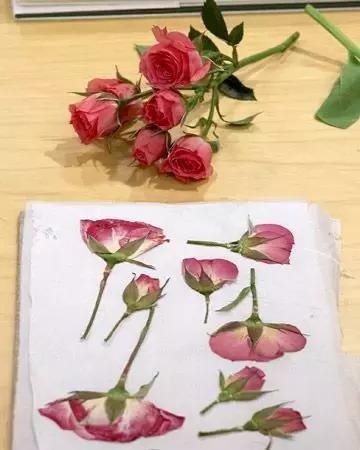 干花蠟燭、花藝書簽制作步驟