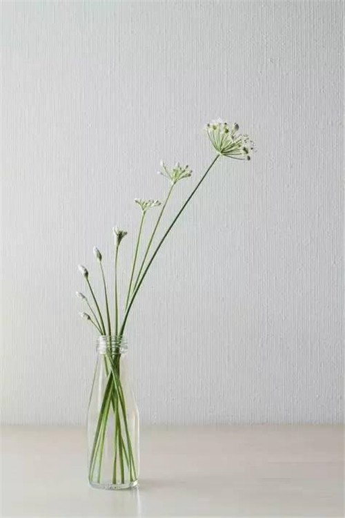 令你耳目一新的意境花藝