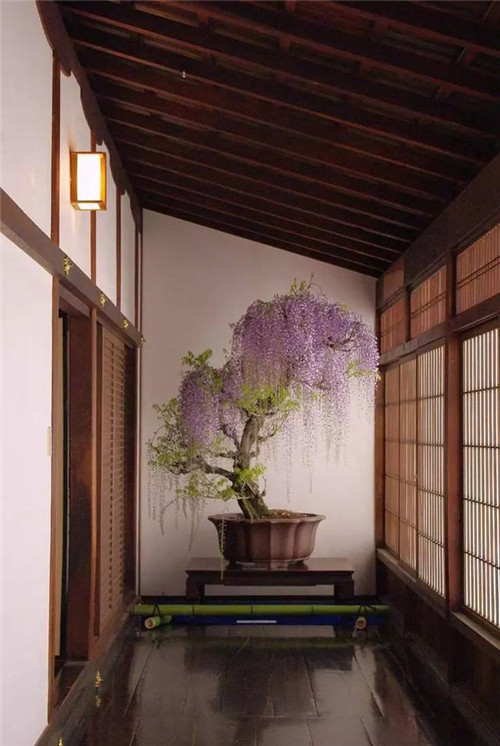 令你耳目一新的意境花藝