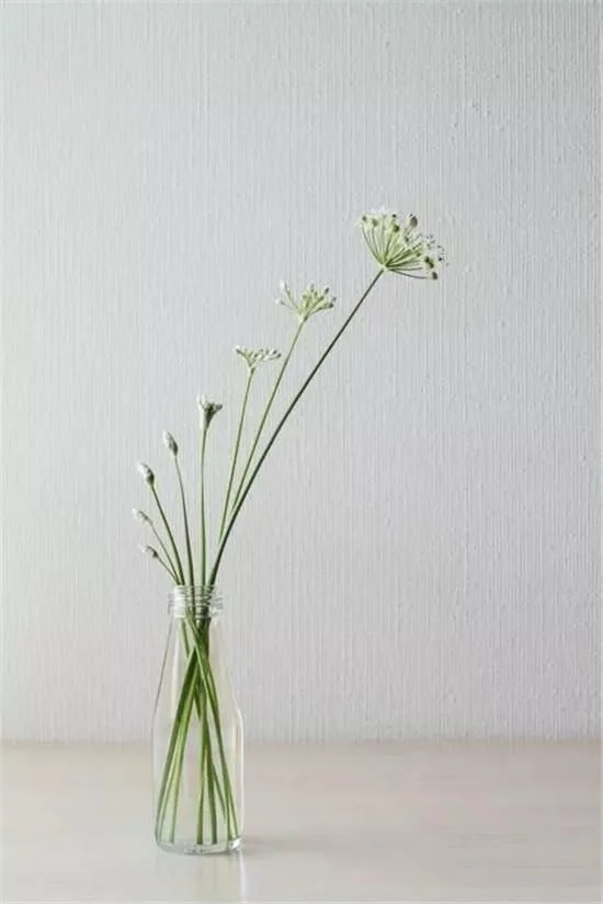 你家房子需要一點花藝