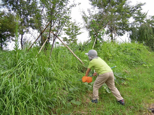 感受山野的自然——日本群馬昆蟲森林公園