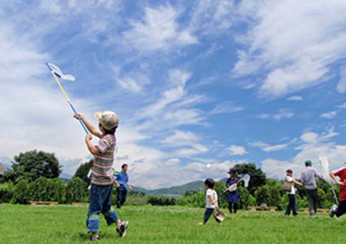 感受山野的自然——日本群馬昆蟲森林公園