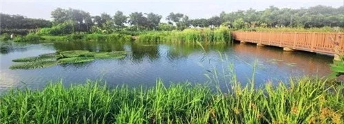 東莞生態(tài)園：海綿城市為術(shù)，區(qū)域整合為道