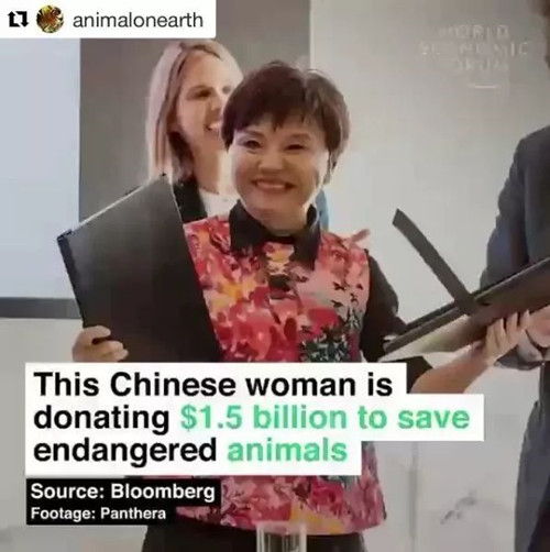 何巧女的"風頭"
