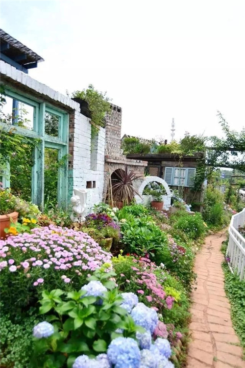 劉俊建了座2畝的鮮花小鎮(zhèn)