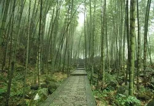 宋山森林公園美景 