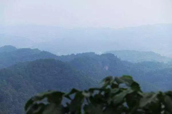 宋山森林公園美景 