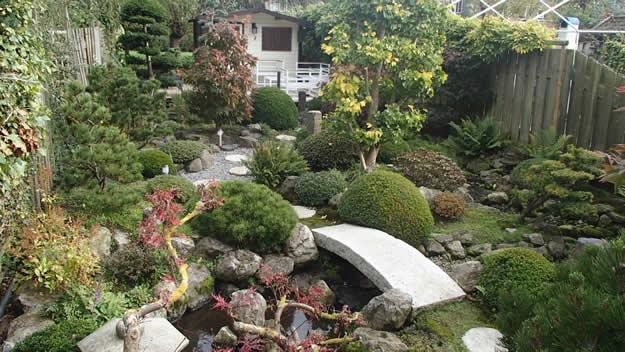 我的花園：帶有日本園林味道的荷蘭花園