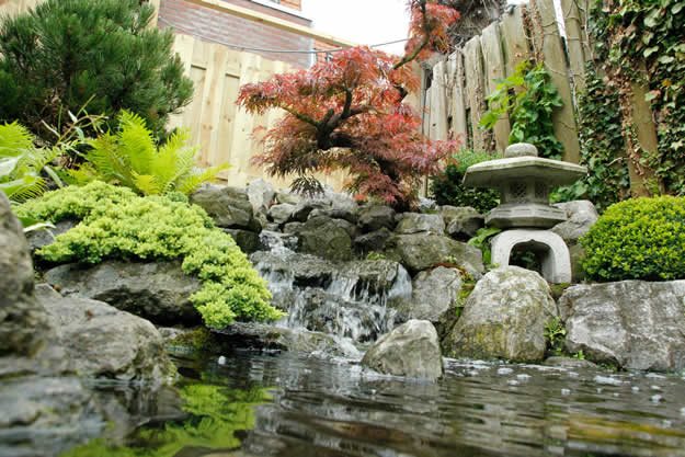 我的花園：帶有日本園林味道的荷蘭花園