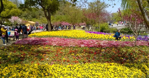 吳中勝境太湖明珠：蘇州上方山國家森林公園