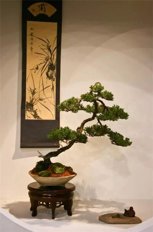 美國費(fèi)城的盆景與插花藝術(shù)展