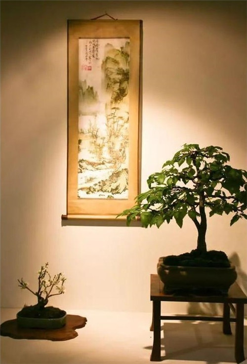 美國費(fèi)城的盆景與插花藝術(shù)展