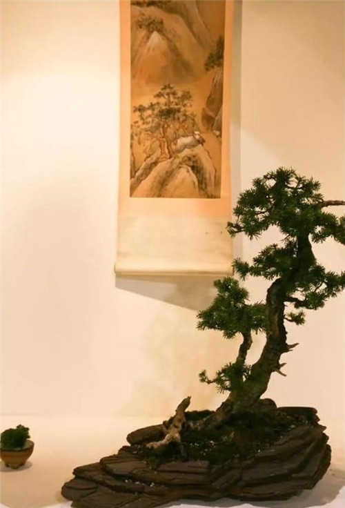 美國費(fèi)城的盆景與插花藝術(shù)展