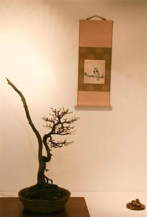 美國費(fèi)城的盆景與插花藝術(shù)展