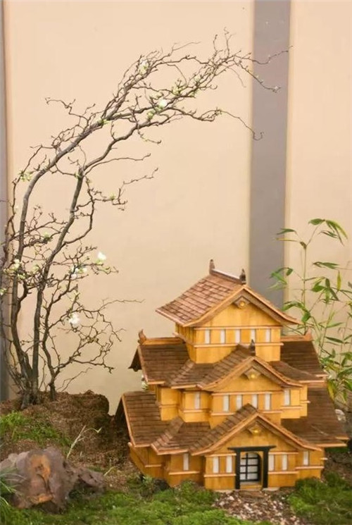 美國費(fèi)城的盆景與插花藝術(shù)展
