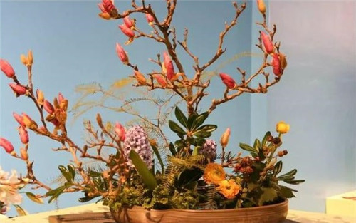美國費(fèi)城的盆景與插花藝術(shù)展