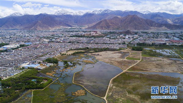 西藏生態文明建設：綠水青山入畫
