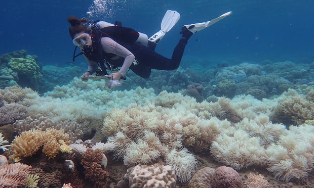 澳洲氣候委員會：氣候變化恐危及旅游業