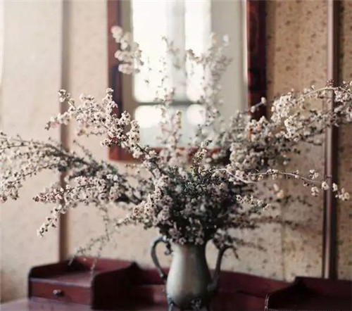 花藝中最受歡迎的10種花材，你都知道嗎？