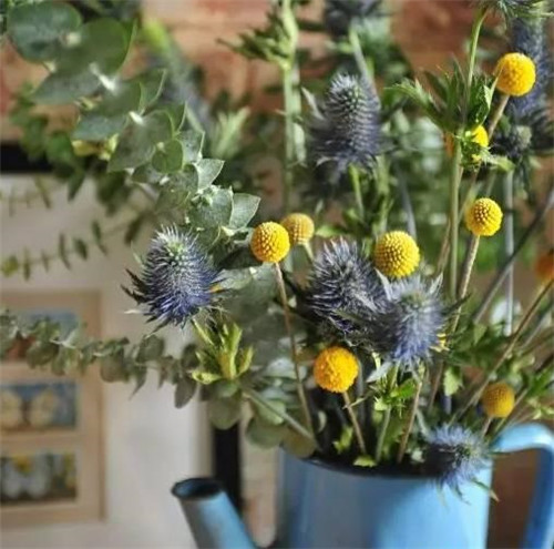花藝中最受歡迎的10種花材，你都知道嗎？