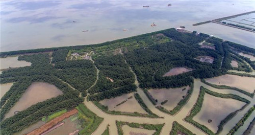 航拍廣州最大的濕地公園——南沙濕地公園