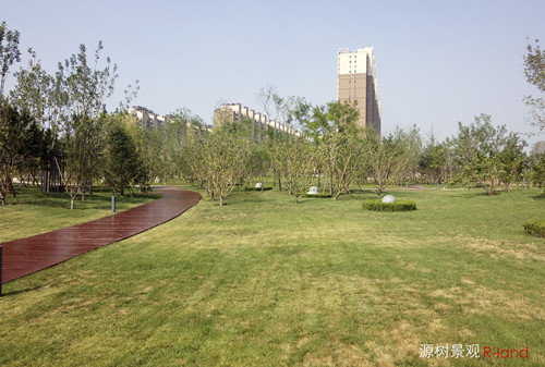 【源樹作品】地鐵上蓋公園——京投發展悅府公園景觀改造提升