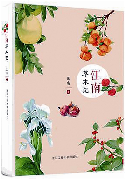書評：江南草木 淺淺相遇