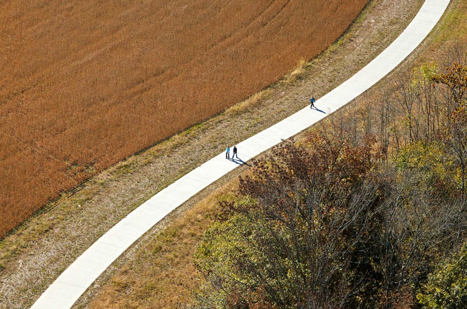 綠色基礎設施框架中的弗洛伊茲福克公園