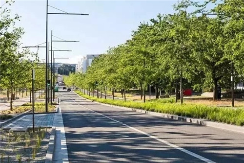 國外街道景觀改造，為何如何讓人津津樂道？