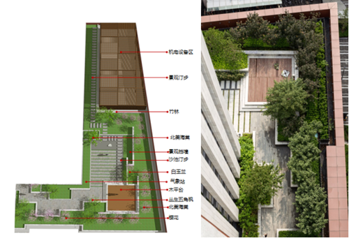 魏煒：構(gòu)建城市生態(tài)系統(tǒng)中的空中綠島